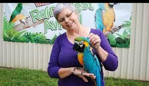 Parrot Partners Canada Ottawa .